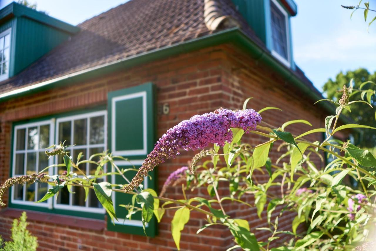 Gemuetliches Landhaus In Harmsdorf Exterior photo
